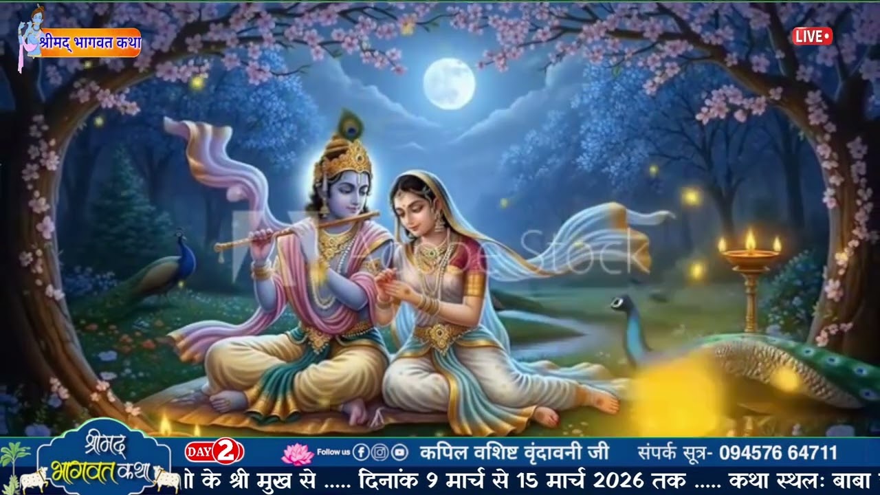 11 मार्च 2026