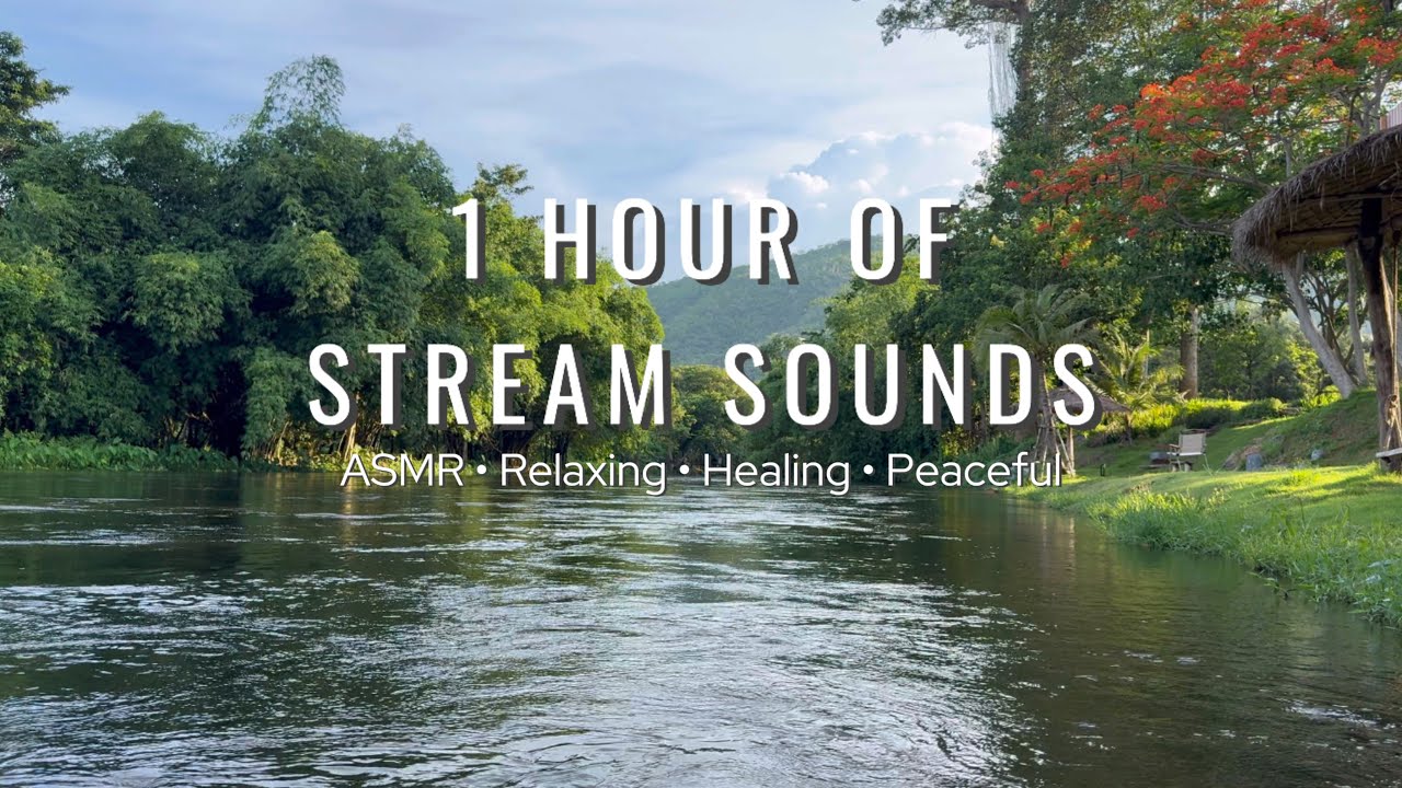 🍃 1 Hour of Stream Sounds • ASMR • Relaxing • Deep Sleep • Peaceful • Healing • Stress Relief
