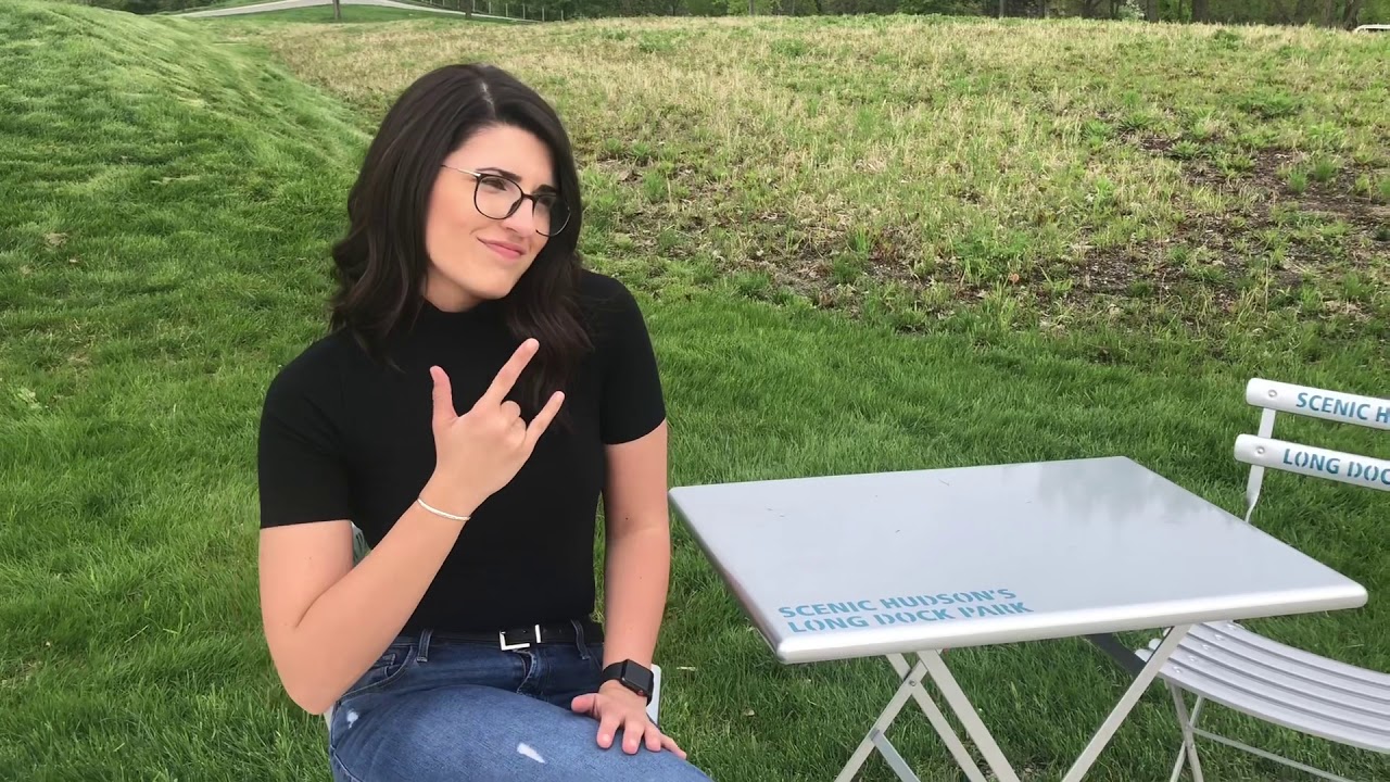 I Wanna Dance With Somebody ASL cover