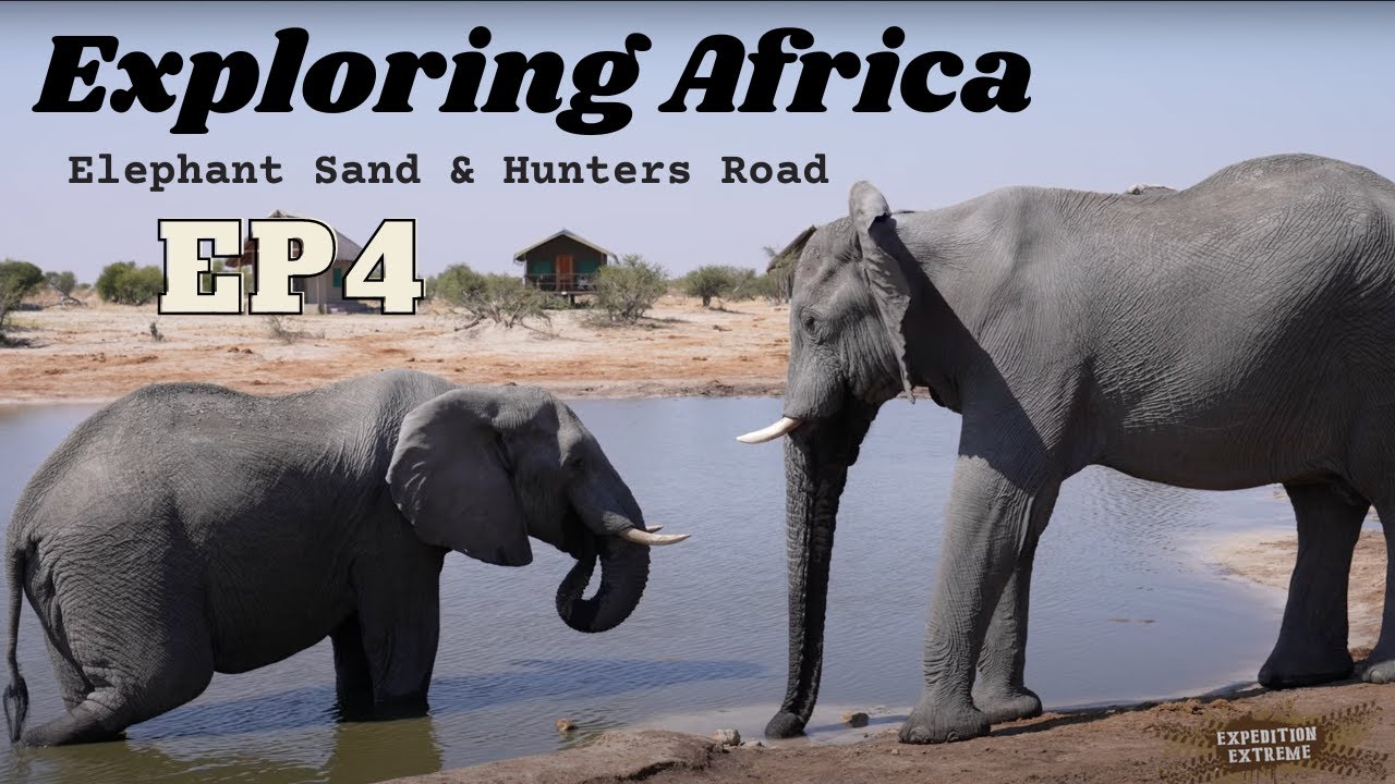 Exploring Africa Ep4 Elephant Sands & Hunters Road #elephant