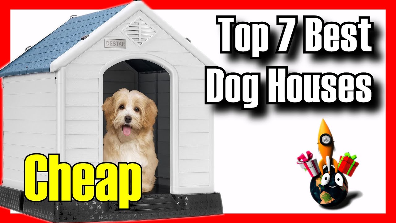 🐶🔥 ТОП-7 ЛУЧШИХ собачьих домиков на Amazon [2025] ✅ [Дешёвые] Для больших собак в жаркую погоду /...