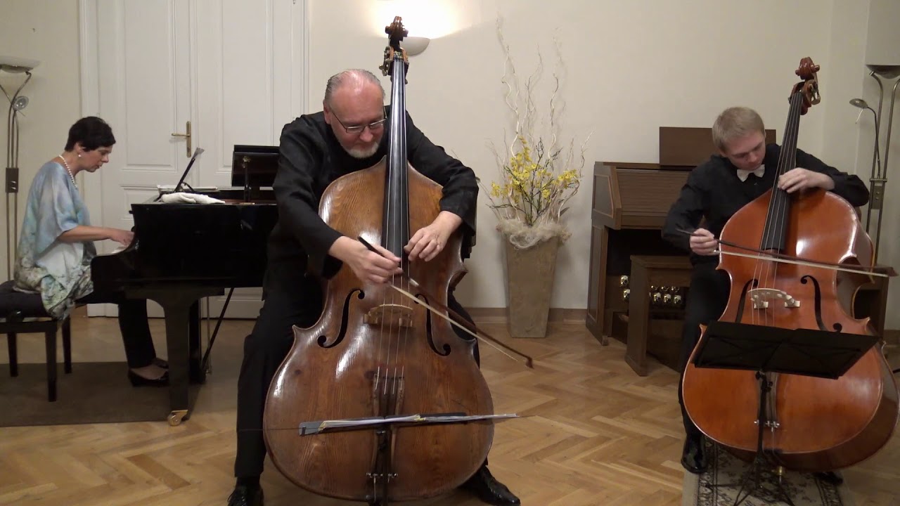 Miloslav Jelínek plays Miloslav Gajdoš Hora Romani 2019 sál Umělecké školy varhanické Brno