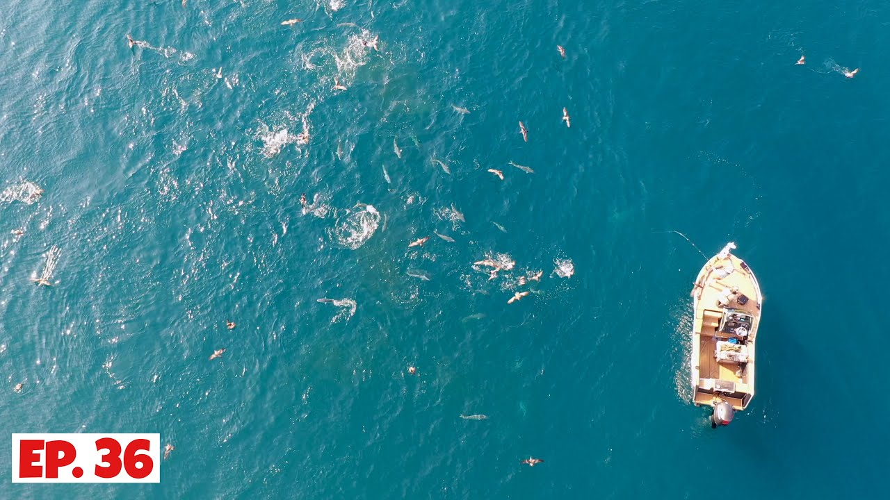 The Best Fishing Action We Have Ever Seen and Filmed: Part 2