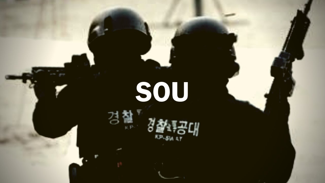 경찰특공대 | 완벽한 특수임무 수행