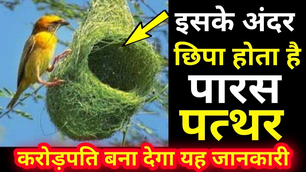 मिल गया पारस पत्थर कहा होता है, अब हर कोई बनाएगा लोहे को सोना//