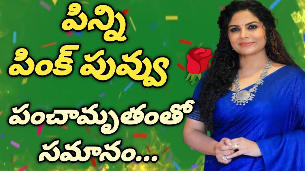 మా ఇంటికి వచ్చిన || పిన్నితో || నేను ఆడిన అల్లరి ఆటలు........