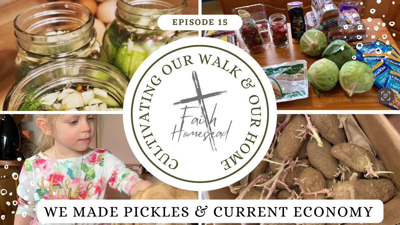 We Made Pickles & Current Economy (pickle making video inside!) #preparation #economy