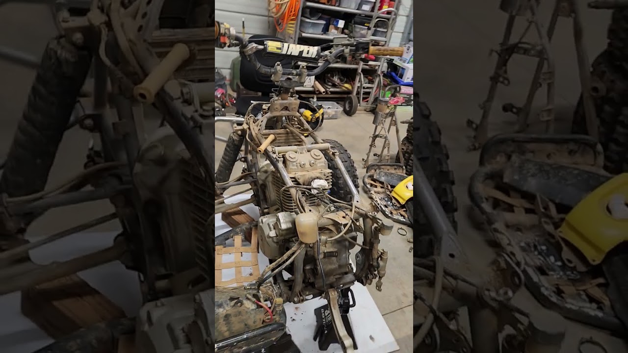Honda 400ex swing arm bearing replacement