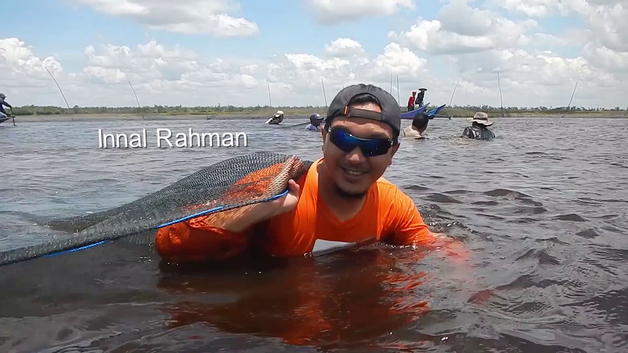 Pesut Mahakam dolphin rescue