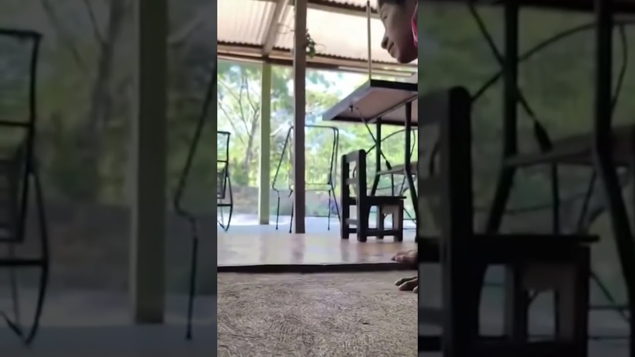 &iexcl;Ataque armado en operativo! Balacera deja 5 polic&iacute;as lesionados tras liberar carretera en Chiapas