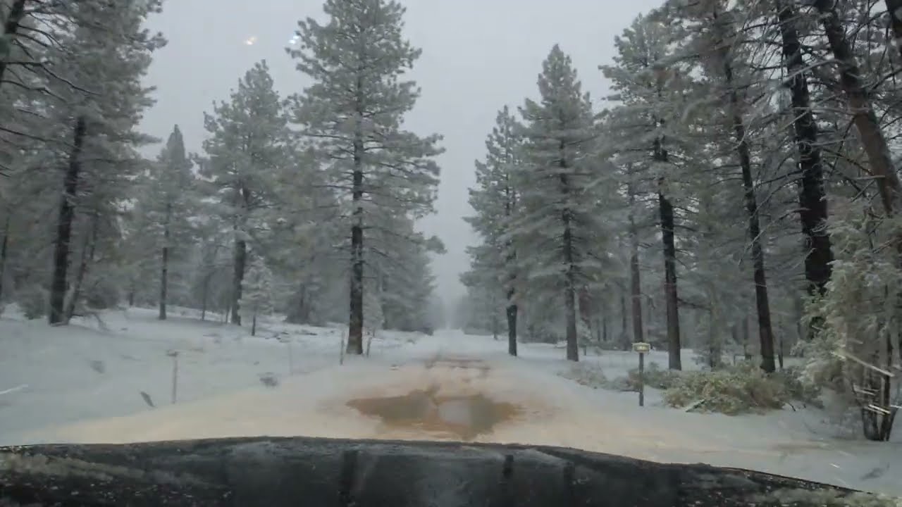 BIg Bear snow Jan 22 2024 Polique Canyon road 2N09 to Holcomb Valley road 3N16