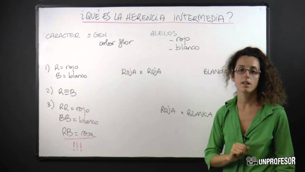 Qué es la herencia intermedia