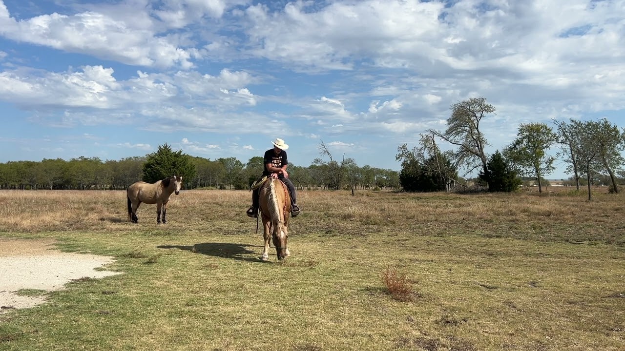Riding A Horse After 2 Years Of Not Being Rode - Part 2 of 2