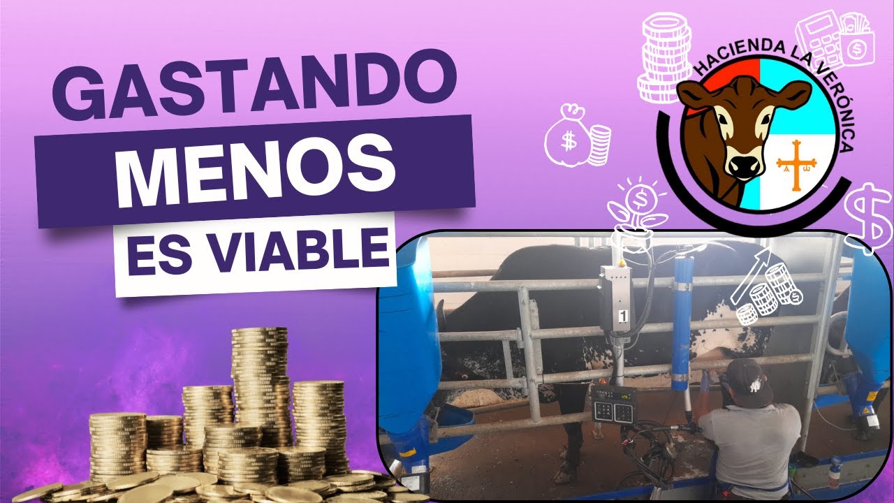 SUPLEMENTO MAS ECONOMICO