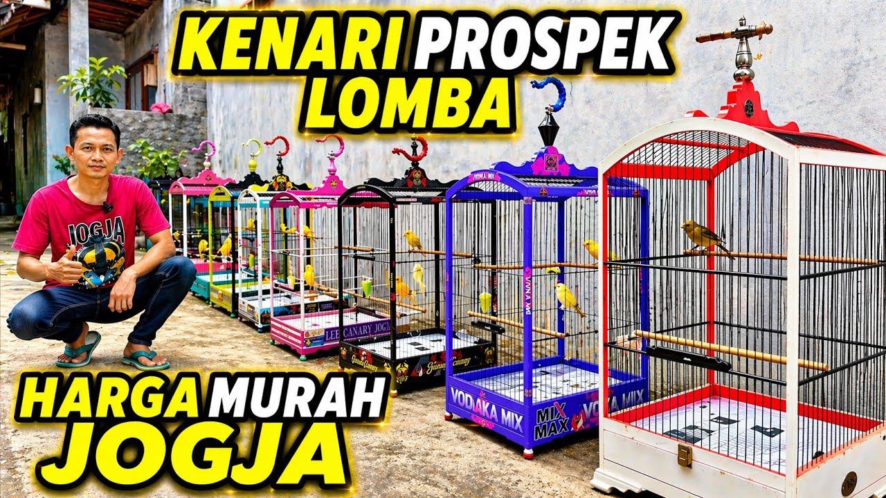 KENARI PROSPEK LOMBA‼️Harga MURAH banyak PILIHAN....