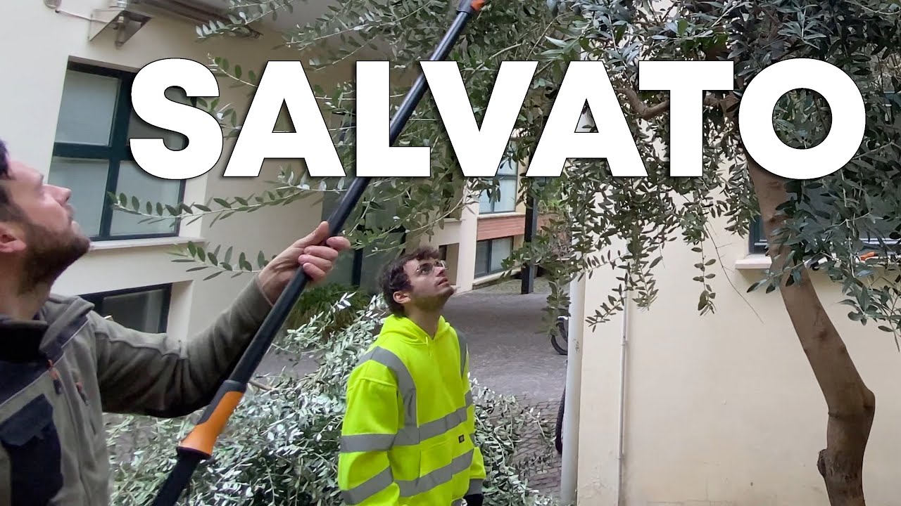 Stava MORENDO nel giardino di @jakidale