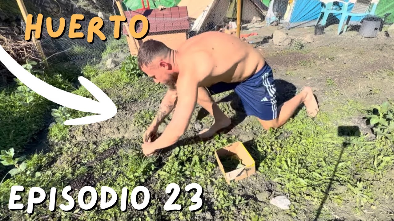 Comí por primera vez de mi huerto - Ep. 23