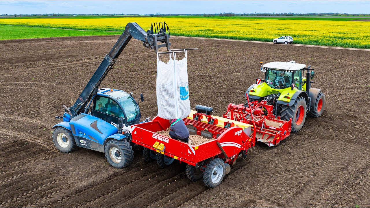 Burgonya vetés 2024 | Claas Axion 830 + Grimme GF400 + GL 430 | Tótkomlósi Agrár Zrt.