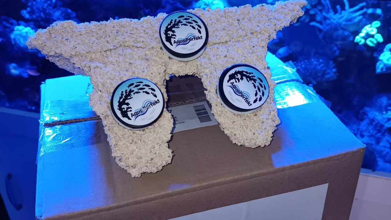 Riffkeramik von Aquaperfekt 