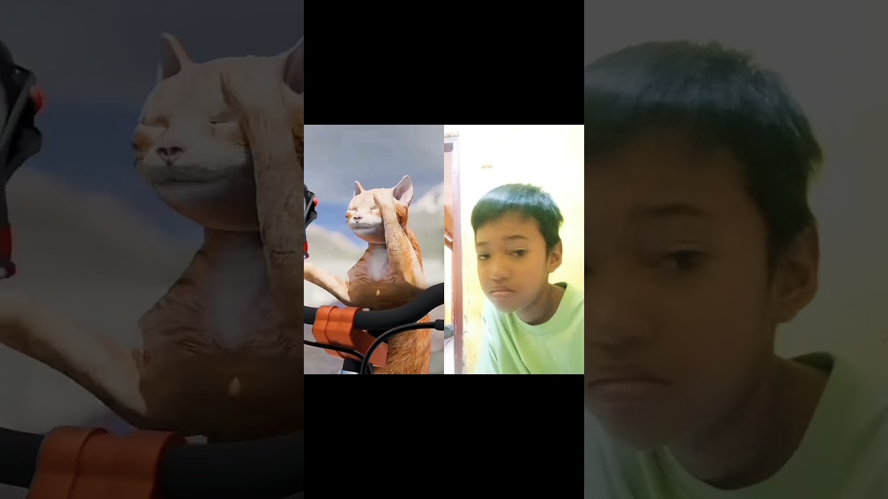 kucing Oyen apa lo liat-liat