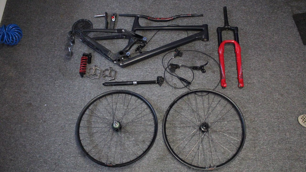 Raaw Madonna Bikebuild