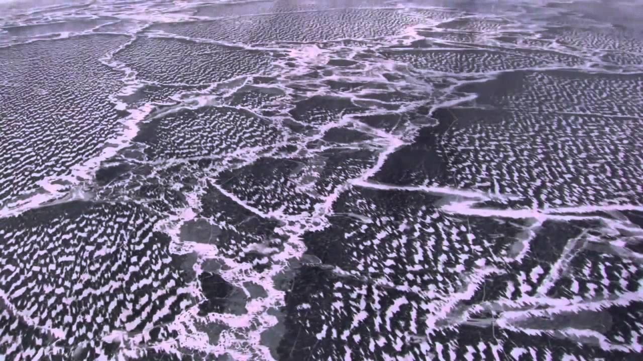 HAM · Pleiadian Connection - Samae · Corazón