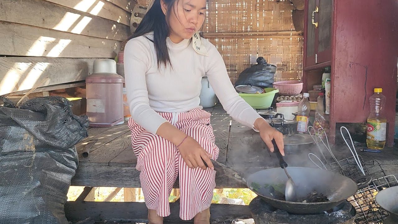 เก็บเห็ดนางฟ้าเตรียมเอาไปทำบุญ​พรุ่งนี้เช้า​