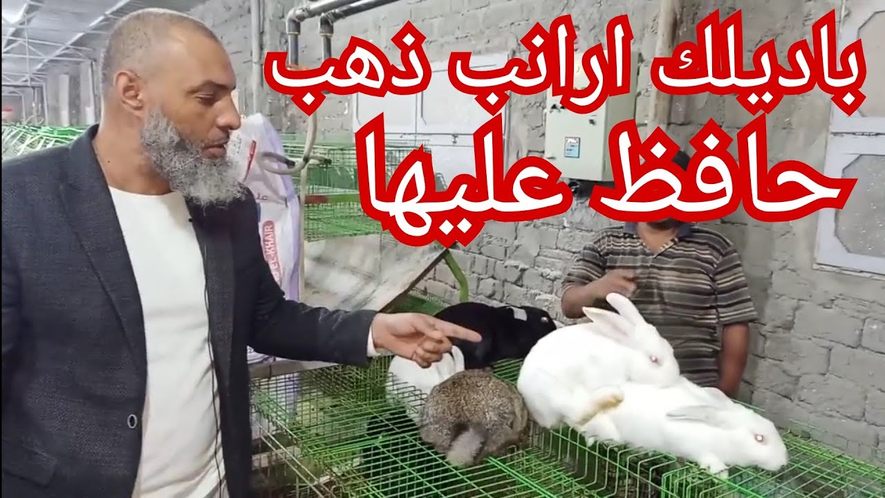 هو انا كنت مفكر ان انا هبقى الشيخ سامر ما تتعلم قبل ما تيجي