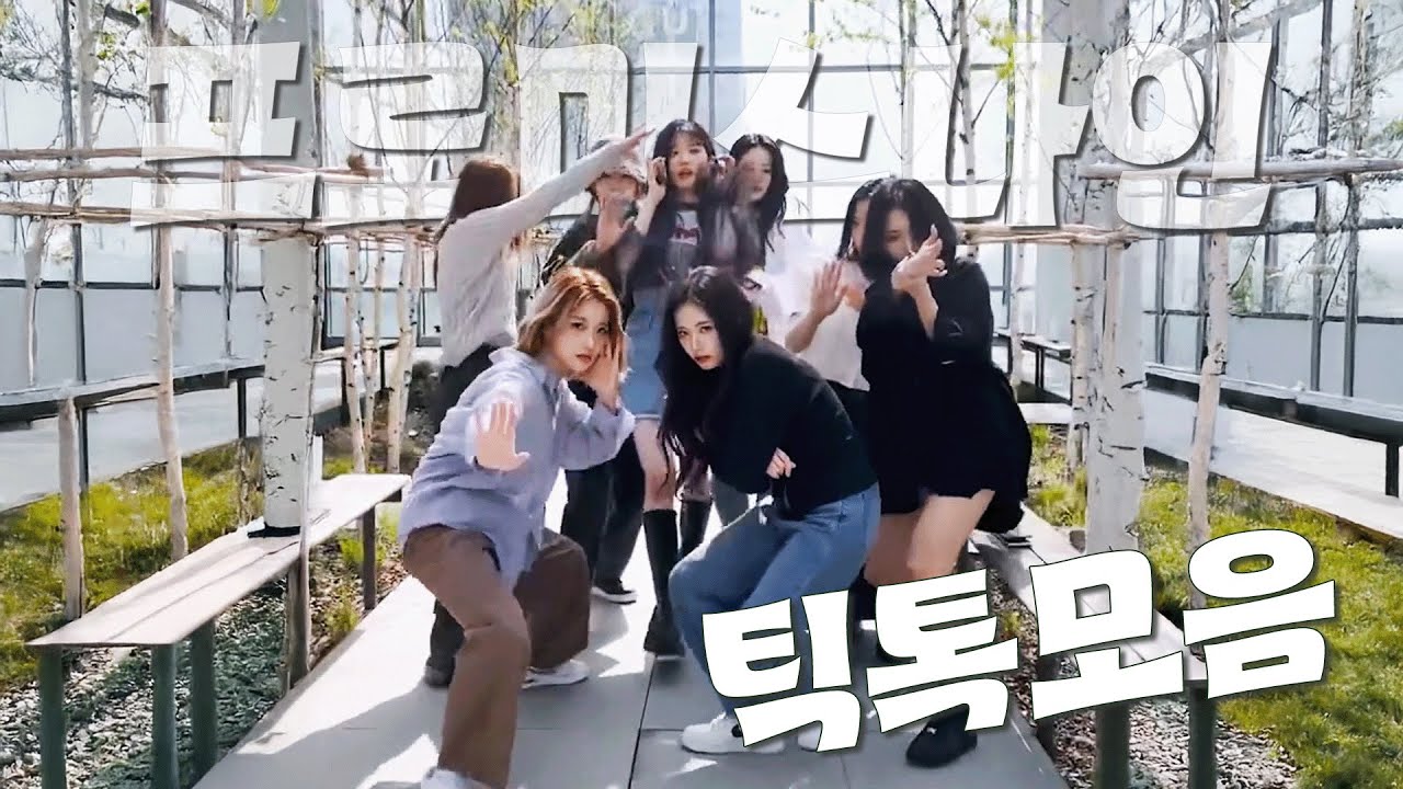 내가 좋아하는 프로미스나인 틱톡 모음