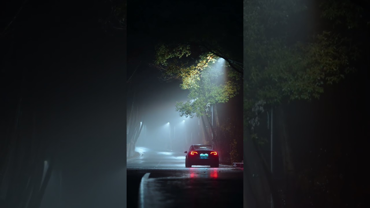 Tesla Model 3 Foggy Night Drive: Max Atmosphere Cinematic Experience