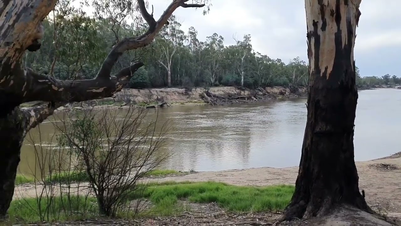 Murray River Christie's Beach NSW East Echuca. Dog friendly. Stunning setting on the River.
