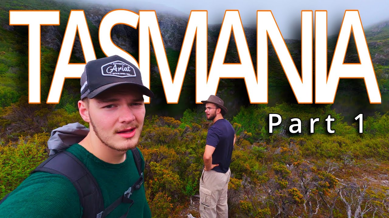 Biltúrar og fjøll í Tasmania