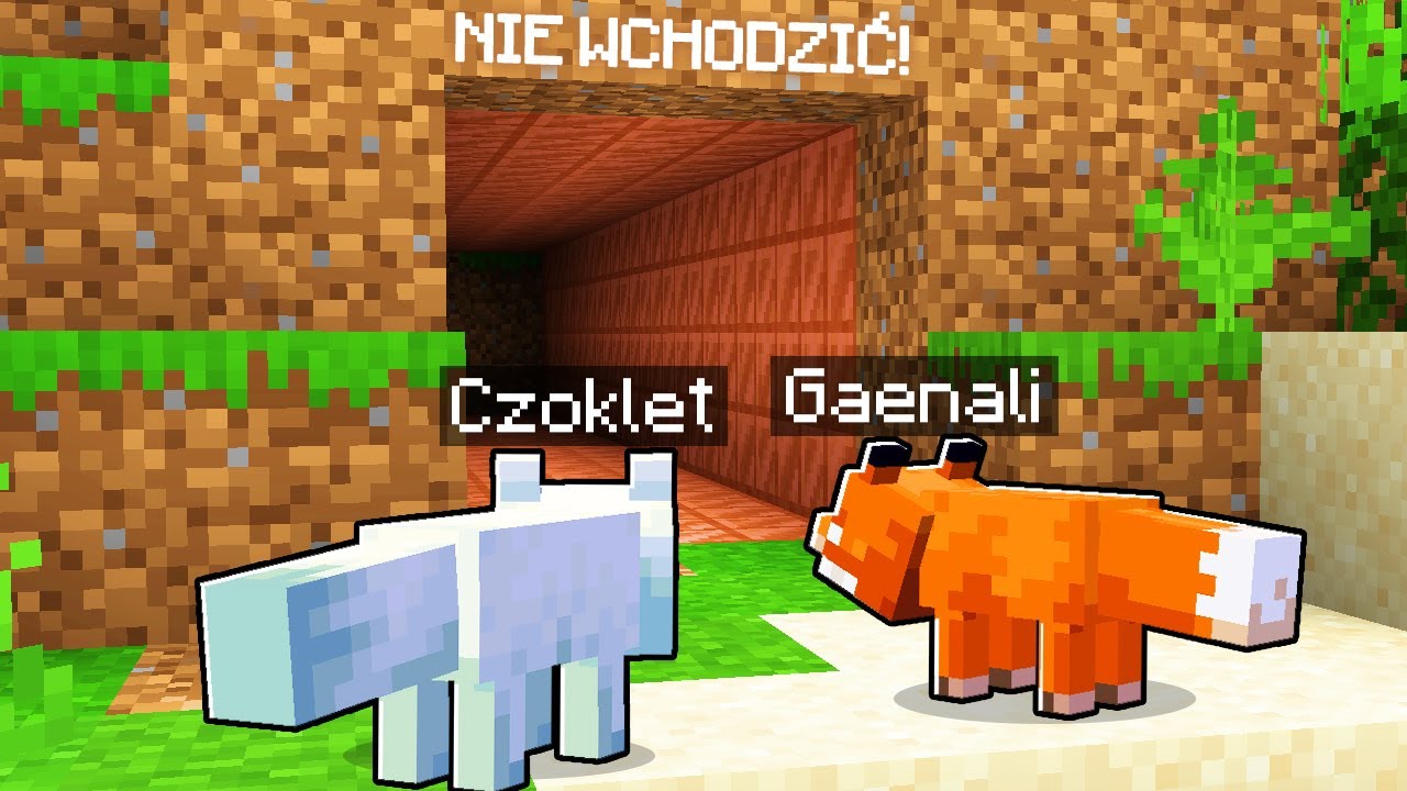 Odkryliśmy WIELKĄ TAJEMNICĘ jako LISKI! *koniec*