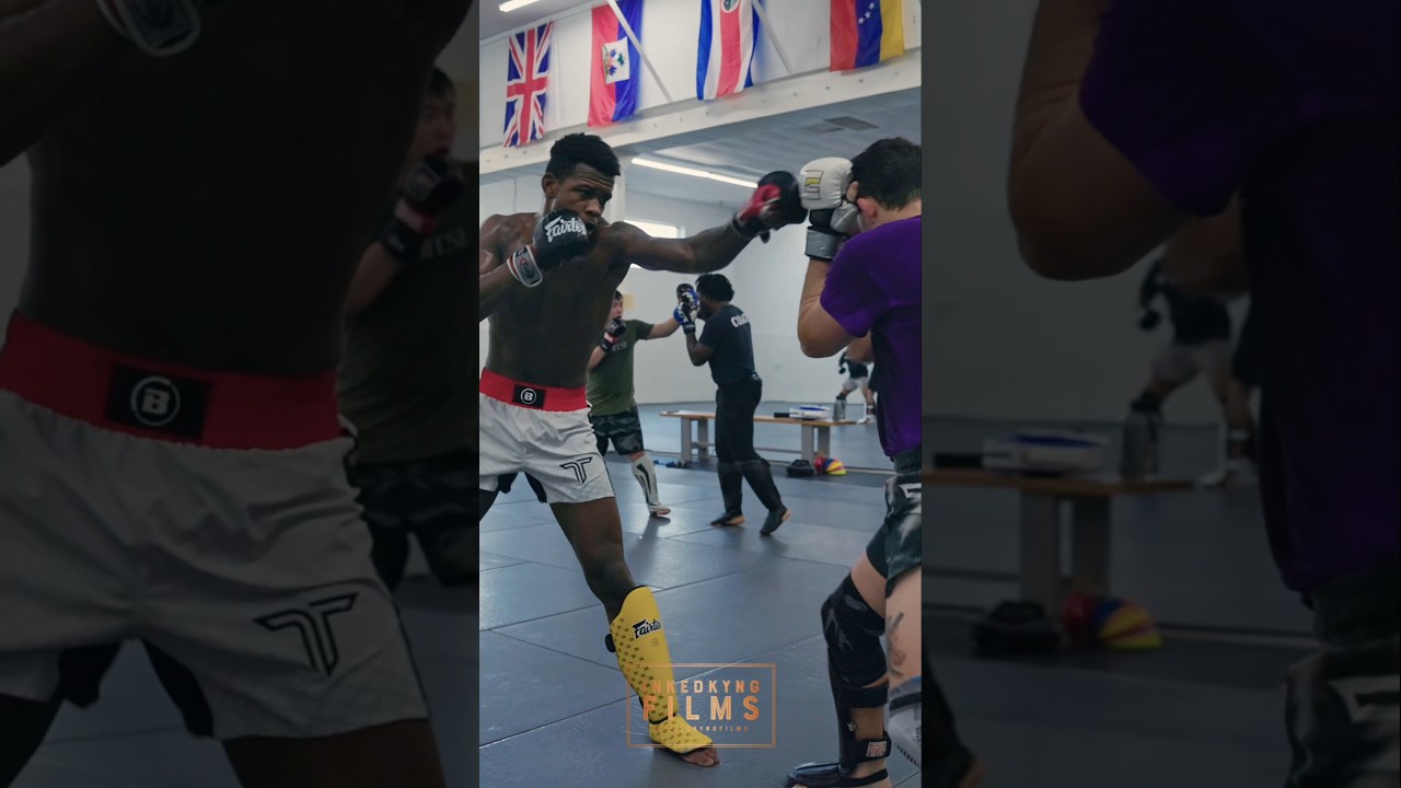 TECHNICAL MMA SPARRING🔥🔥 