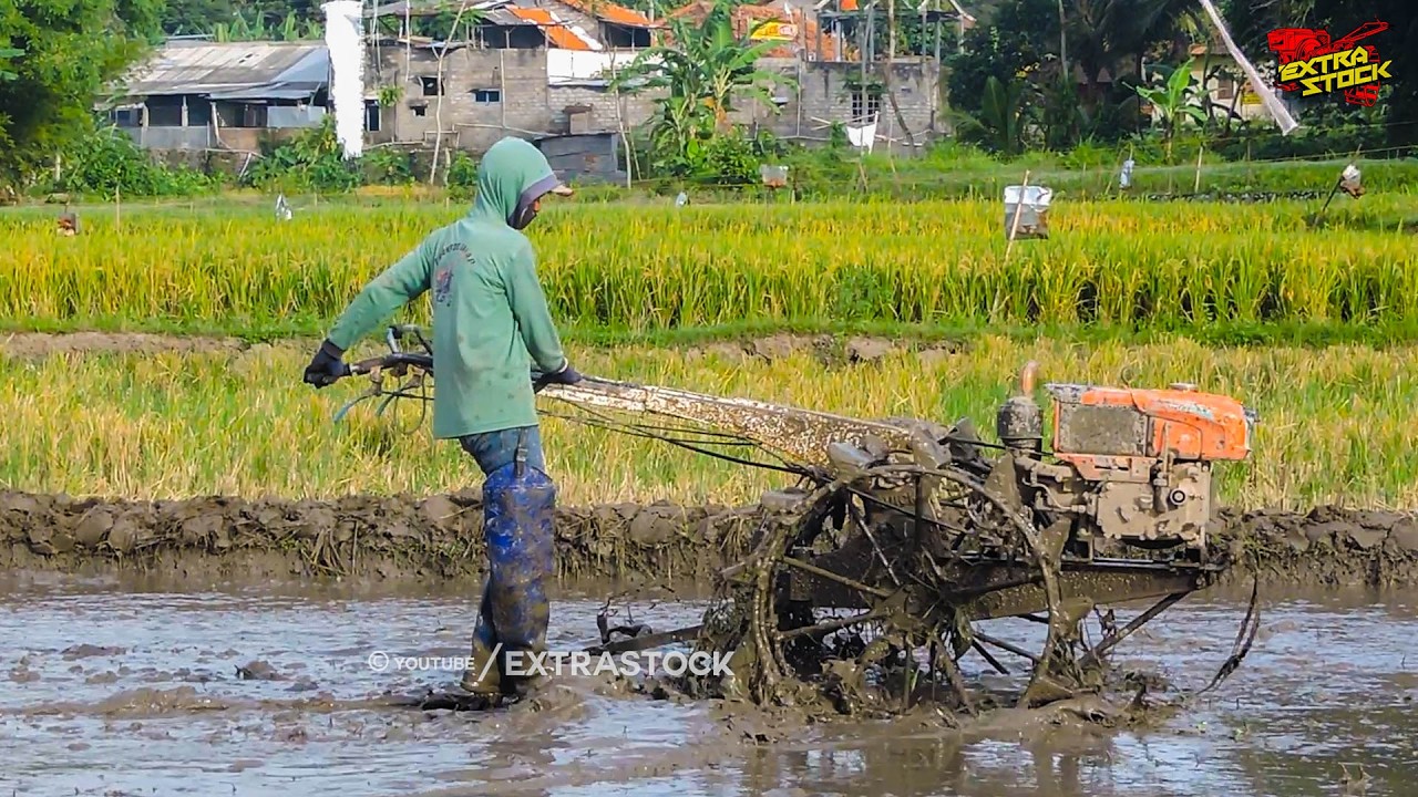Gerak Cepat Joki Muda Traktor G3000 Zeva Garu Lahan Petak Sedang