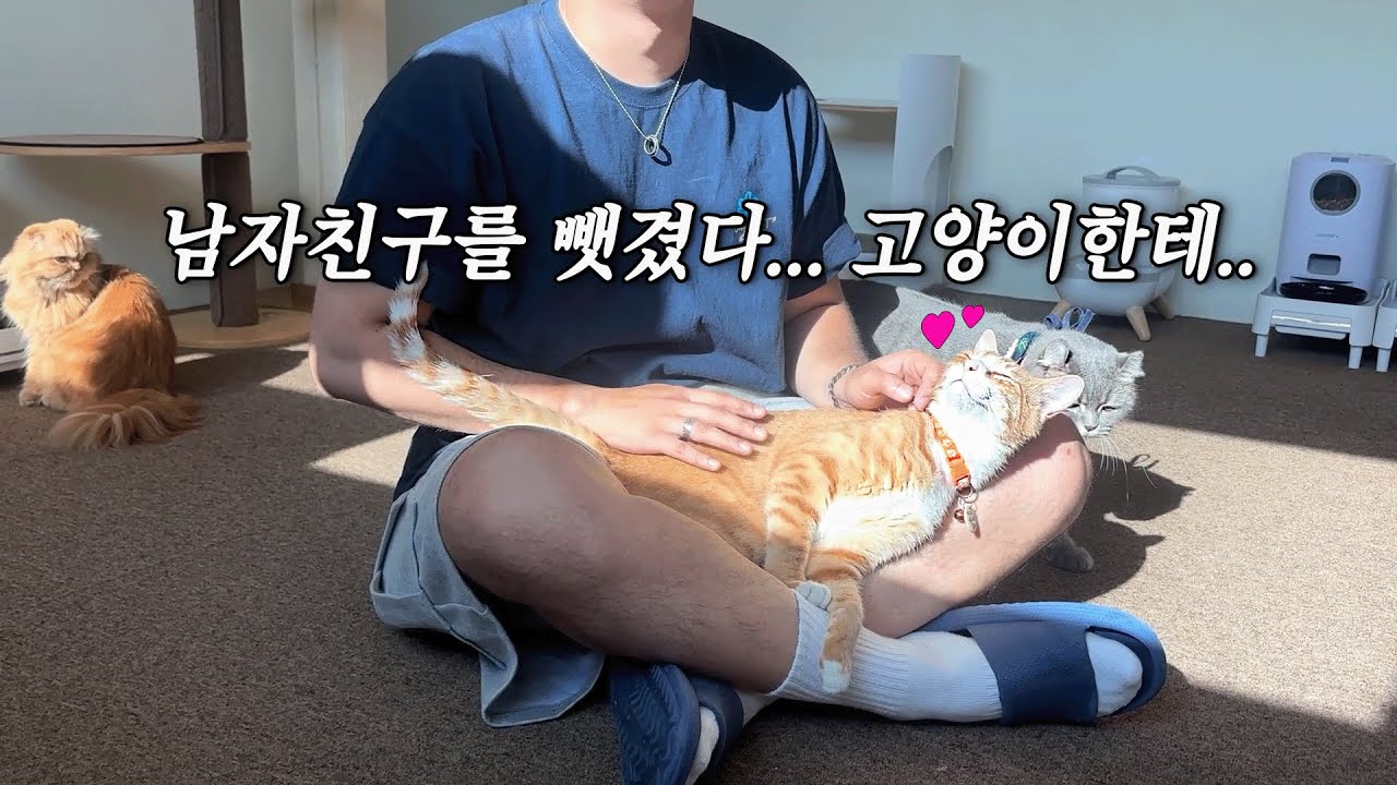 남자친구를 뺏겼는데... 남자친구가 부러운 상황.. | 일상 VLOG