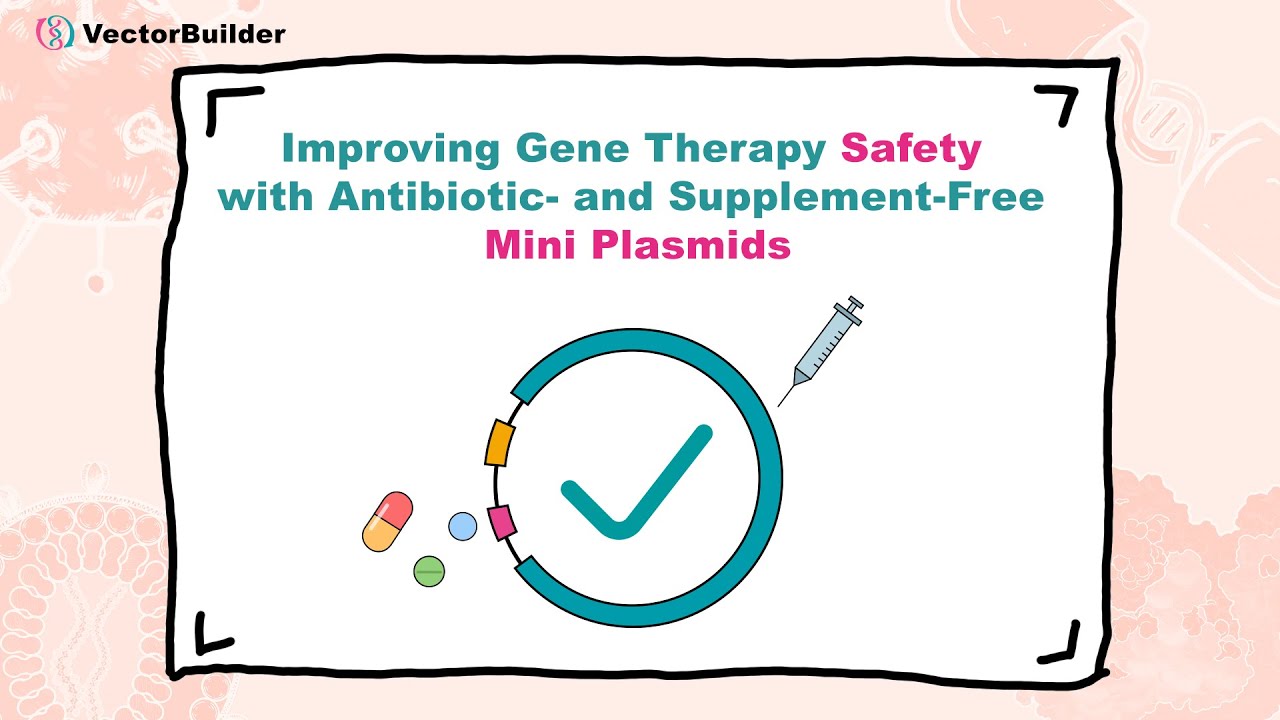 Improving Gene Therapy Safety with Antibiotic- and Supplement-Free Mini Plasmids