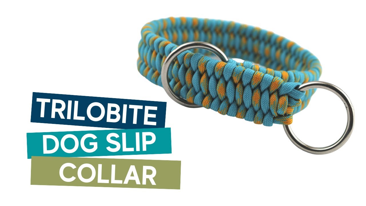 HOW TO MAKE A TRILOBITE DOG SLIP COLLAR