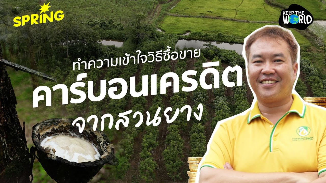 วิธีขายคาร์บอนเครดิตจากสวนยาง