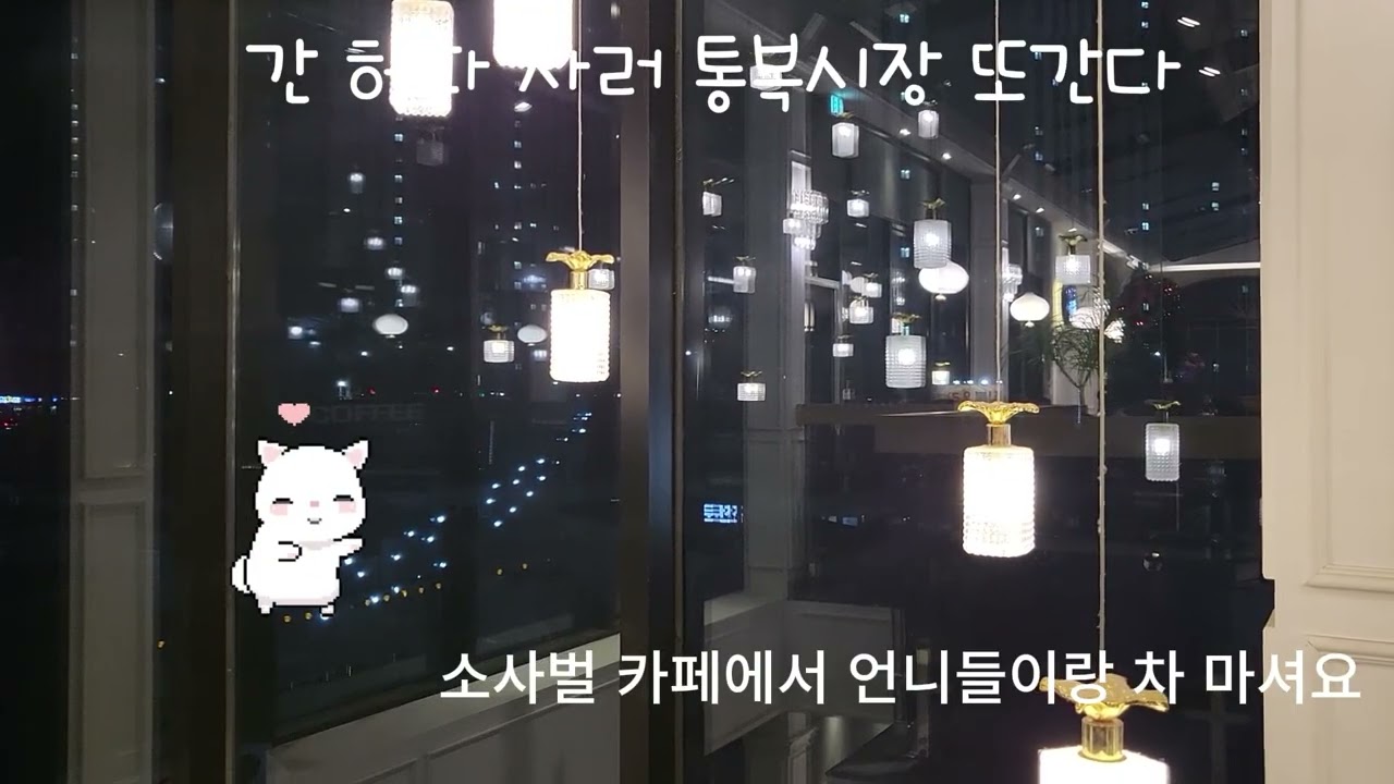 0121 돼지 내장 사러 통복시장 또간다 #흰둥이 #강아지 #강아지일상 #강아지브이로그 #시장 #간식 #강아지간식 #간 #허파 #내장 #통복시장 #운전자필수 #주차