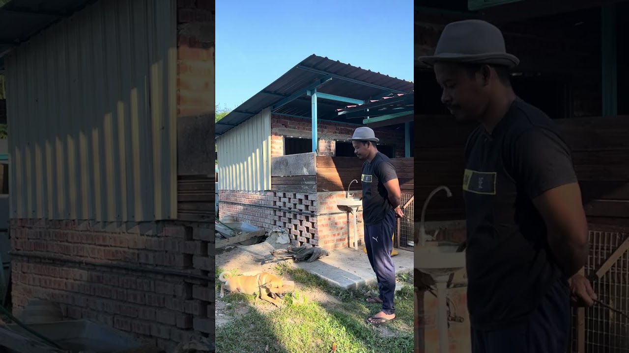 ujian si penyewa tanah..kesian ah sheng apa lah nasib dia