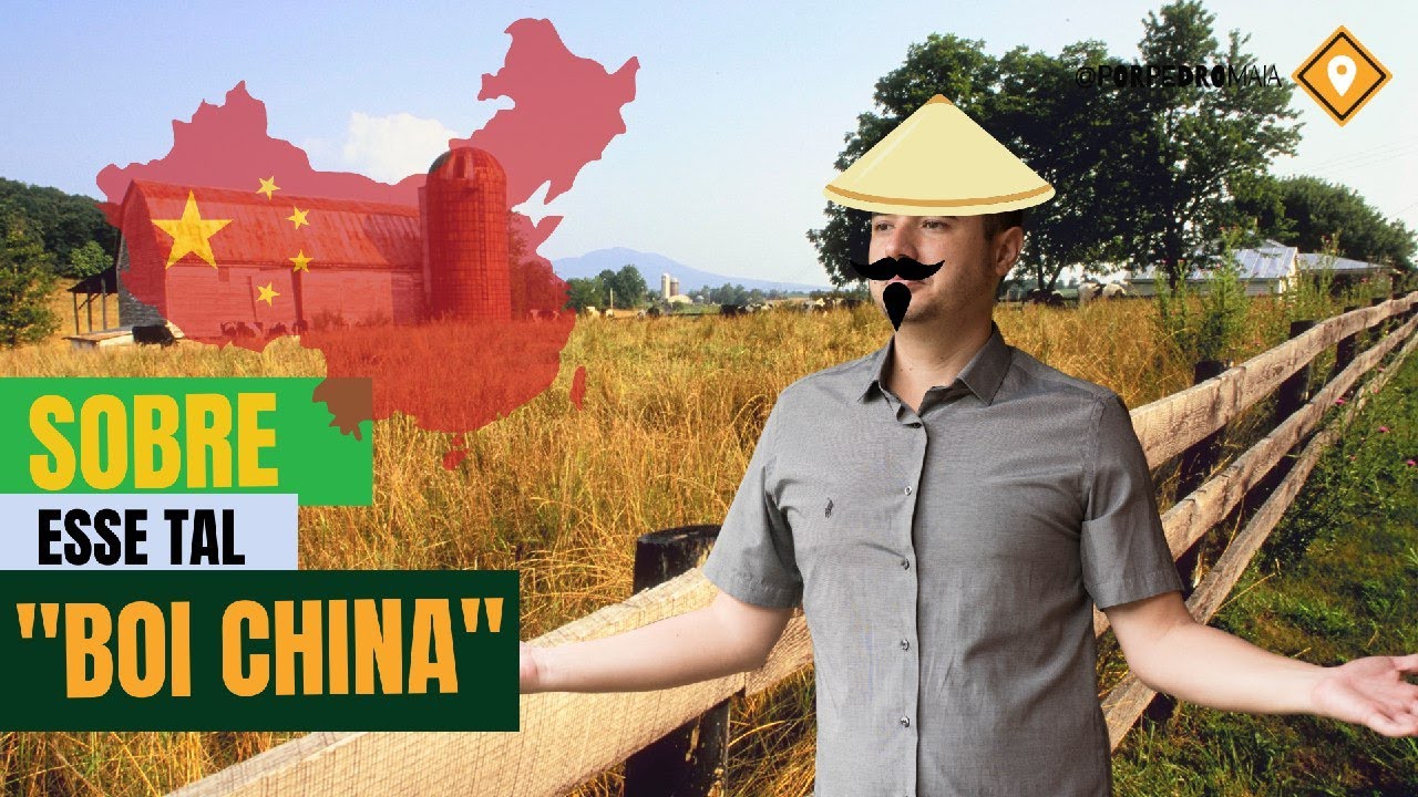 O que &eacute; o Boi padr&atilde;o china?
