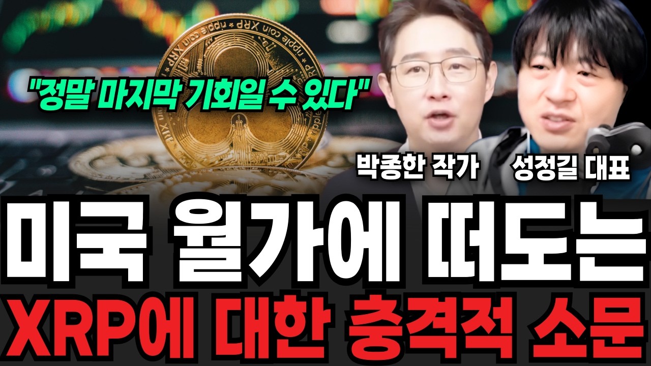12월 사상초유로 리플이 코인판 다 먹는다. 