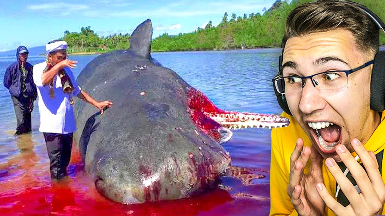 ČUDNE STVARI PRONAĐENE NA PLAŽI!!