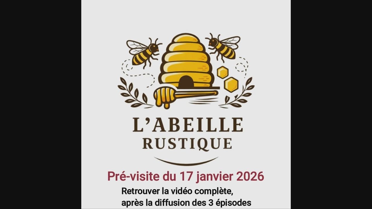 Pré-visite ruche 17 janvier 2026 Épisode 2/3