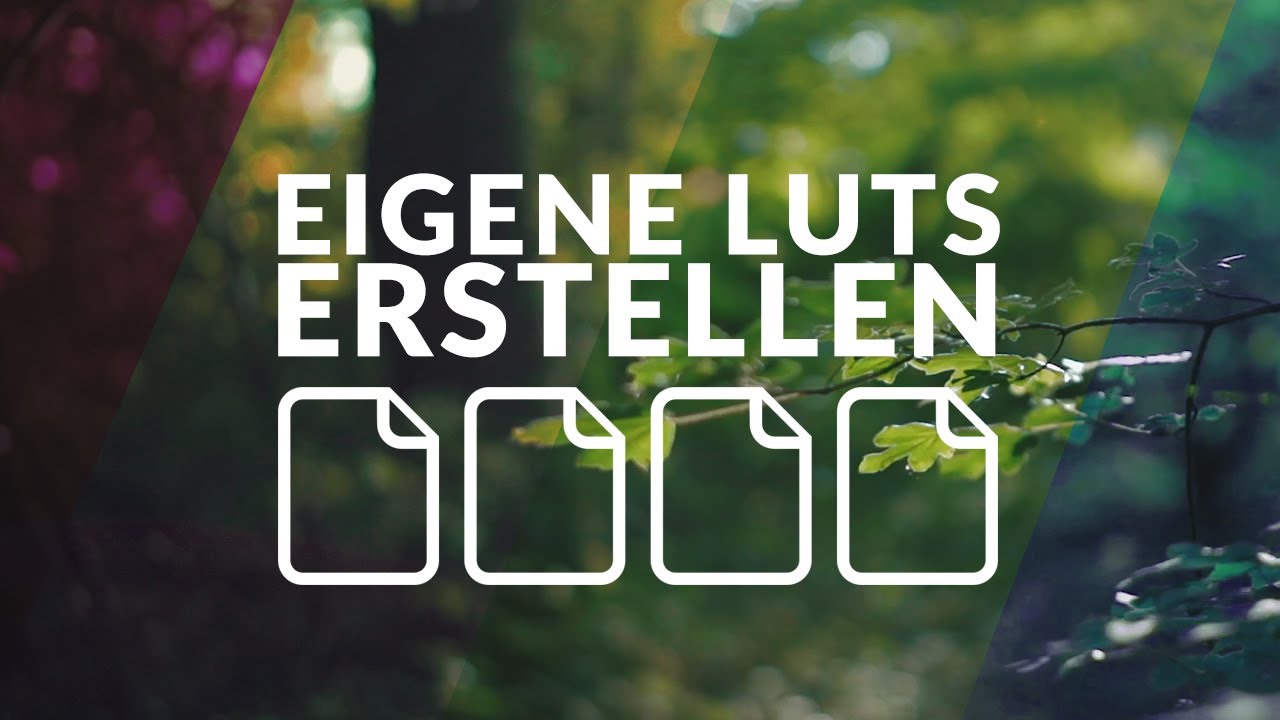 Wie erstelle ich meine eigenen LUTs?