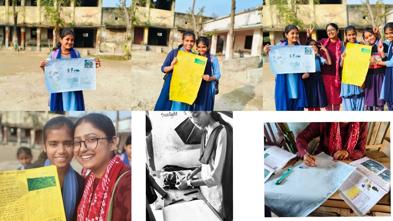 Middle School 🏫 Project Work📃🖊️