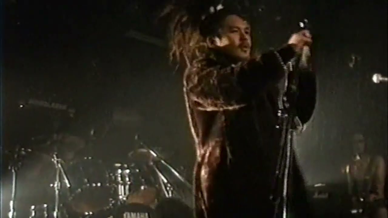 GORE BEYOND NECROPSY  1997