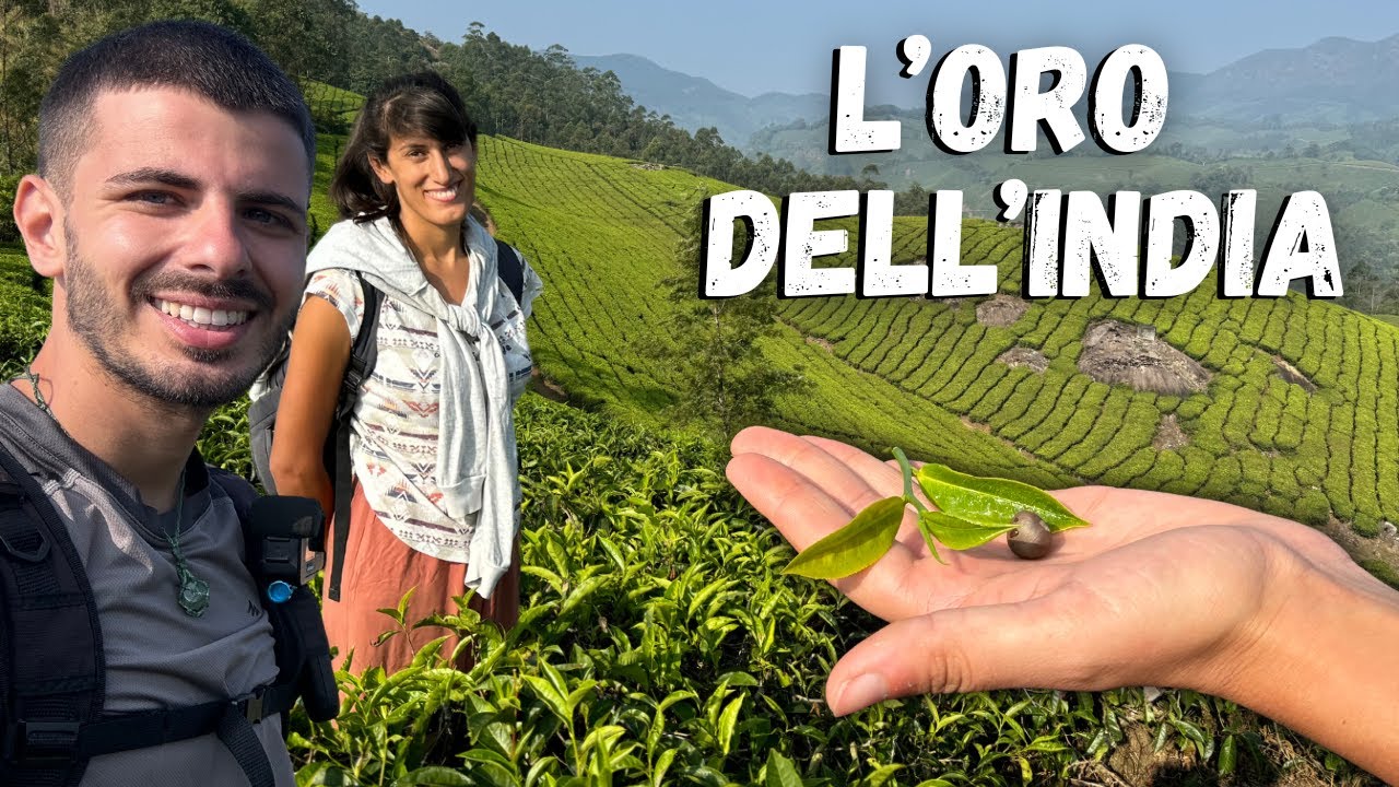 Camminiamo nelle PIANTAGIONI di TÈ più ALTE del MONDO _Visitiamo MUNNAR nel KERALA_ INDIA in CAMPER