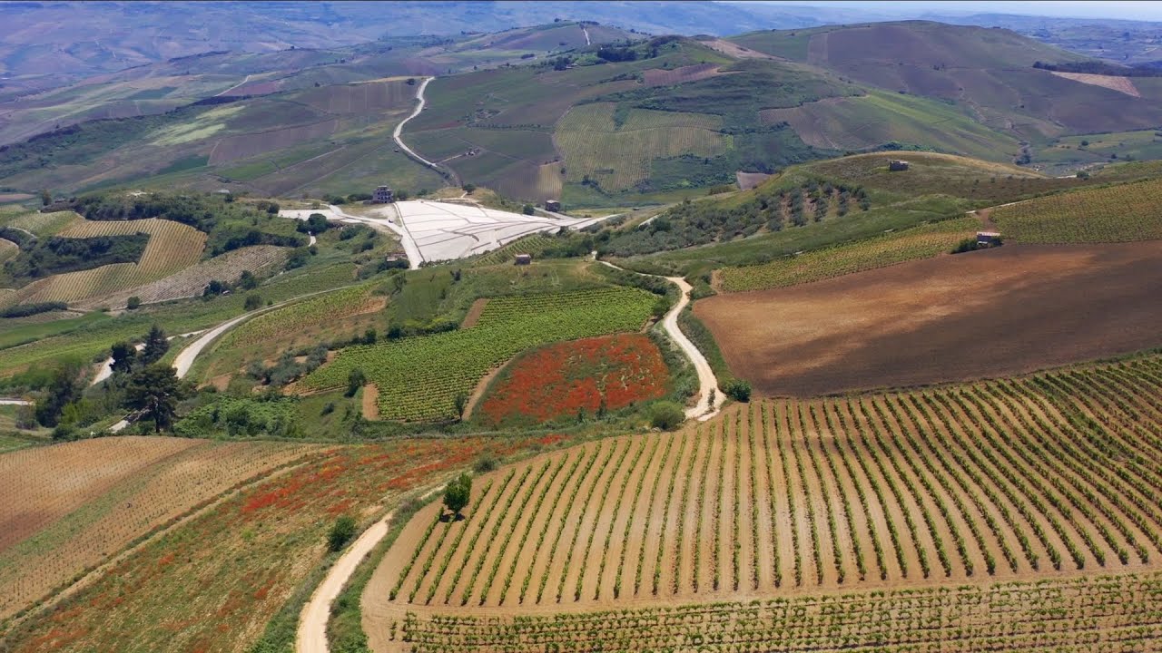 The Great Cretto of Burri - Gibellina, Trapani - Sicily, Italy | Drone aerial view